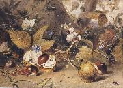 Elizabeth Byrne Still-life with horse chestnuts and insects (mk47) Spain oil painting artist